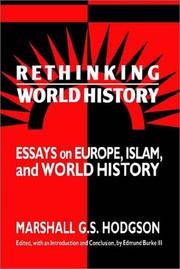 Rethinking world history essays on Europe, Islam, and world history